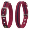 Oscar & Hooch Dog Collar Bold Red -Pawfect Sales Store 50237