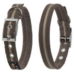 Oscar & Hooch Dog Collar Caf