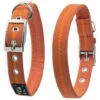 Oscar & Hooch Dog Collar Clementine Orange -Pawfect Sales Store 50239