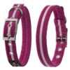 Oscar & Hooch Dog Collar Hot Pink -Pawfect Sales Store 50241