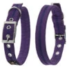 Oscar & Hooch Dog Collar Liberty Purple -Pawfect Sales Store 50242