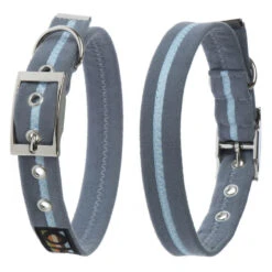 Oscar & Hooch Dog Collar Ocean Breeze Blue