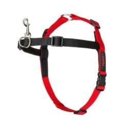 HALTI Harness Black -Pawfect Sales Store 519310