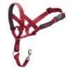 HALTI Headcollar Red -Pawfect Sales Store 519728