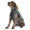 Ancol Muddy Paws Parker Dog Coat Green 2 Ancol Muddy Paws Parker Dog Coat Green -Pawfect Sales Store 54497