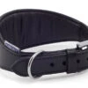 Ancol Heritage Leather Padded Greyhound/Whippet Collar Black -Pawfect Sales Store 55249