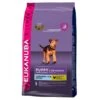 Eukanuba Dog Puppy & Junior Large Breed Chicken 12kg -Pawfect Sales Store 56709