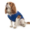 Blue Dog Cooling Vest -Pawfect Sales Store 57555