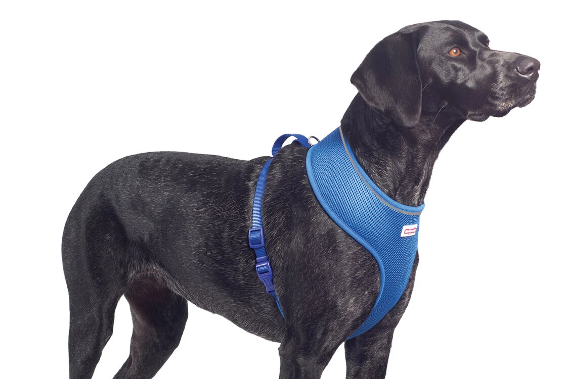 Ancol Comfort Mesh Dog Harness Blue 5 Ancol Comfort Mesh Dog Harness Blue - Image 3