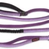 Halti Nylon All-in-one-lead Purple -Pawfect Sales Store 59064