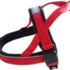 Dog & Co Nylon Norwegian Red Padded Harness Reflective