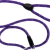 Dog & Co Mountain Rope Slip Lead Purple Reflective 150cm -Pawfect Sales Store 59753