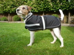 Petface Super Soft Water Resistant Dog Coat Black -Pawfect Sales Store 5ab96a1ea085c8.64880894