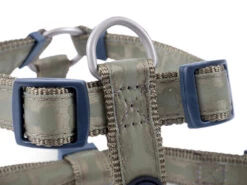 Petface Country Green Tonal Bones Dog Harness -Pawfect Sales Store 5b97ea63426b08.82857188