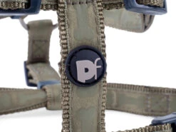 Petface Country Green Tonal Bones Dog Harness -Pawfect Sales Store 5b97ea64f27607.28441087