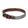 Petface Herringbone Leather Collar -Pawfect Sales Store 5d4940030e1b04.49804263
