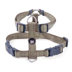 Petface Country Green Tonal Bones Dog Harness