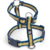 Petface Ochre Stripe Dog Harness -Pawfect Sales Store 5f1aacb082d687.98675896