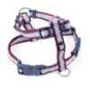 Petface Oxblood Stripe Dog Harness -Pawfect Sales Store 5f1aad0211c9a2.10192042