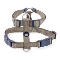 Petface Country Green Tonal Bones Dog Harness -Pawfect Sales Store 6203ad04cd1f91.70758415
