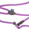 Dog & Co Mountain Rope Slip Lead Purple Mint & Grey 150cm -Pawfect Sales Store 62758