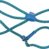 Dog & Co Mountain Rope Slip Lead Ocean Blue Line & Grey 150cm -Pawfect Sales Store 62759