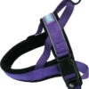 Dog & Co Nylon Norwegian Harness Reflective Purple -Pawfect Sales Store 62768