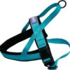 Dog & Co Nylon Norwegian Harness Reflective Aqua -Pawfect Sales Store 62773
