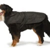 Danish Design 2 In 1 Ultimate Harness Dog Coat Black -Pawfect Sales Store 63230