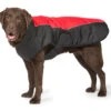 Danish Design Sports Luxe Waterproof Dog Coat In Red -Pawfect Sales Store 63244