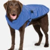 Danish Design Sports Luxe Blue Dog Coat 1 Danish Design Sports Luxe Blue Dog Coat -Pawfect Sales Store 63255