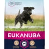 Eukanuba Developing Junior Large Breed Dog Food With Chicken -Pawfect Sales Store 63709