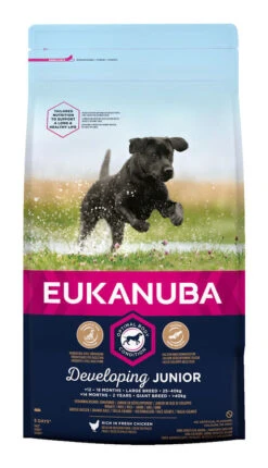 Eukanuba Developing Junior Large Breed Dog Food With Chicken
