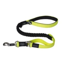 Rogz Control Lead Dayglo