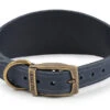 Ancol Timberwolf Greyhound Leather Dog Collar In Blue 34-43cm -Pawfect Sales Store 65516