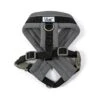 Ancol Viva Padded Dog Harness In Black