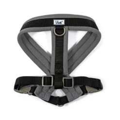Ancol Viva Padded Dog Harness In Black 7 Ancol Viva Padded Dog Harness In Black -Pawfect Sales Store 725814
