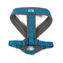 Ancol Viva Padded Dog Harness In Blue -Pawfect Sales Store 725847