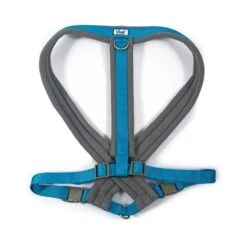 Ancol Viva Padded Dog Harness In Blue -Pawfect Sales Store 725893