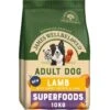 James Wellbeloved Superfoods Adult Dry Dog Food Lamb With Sweet Potato & Chia 1 James Wellbeloved Superfoods Adult Dry Dog Food Lamb With Sweet Potato & Chia -Pawfect Sales Store 748503