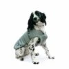 An Ultimate Reflect Coat Extra Small -Pawfect Sales Store 766072