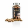Golden Paste Turmeric Capsules -Pawfect Sales Store 769686