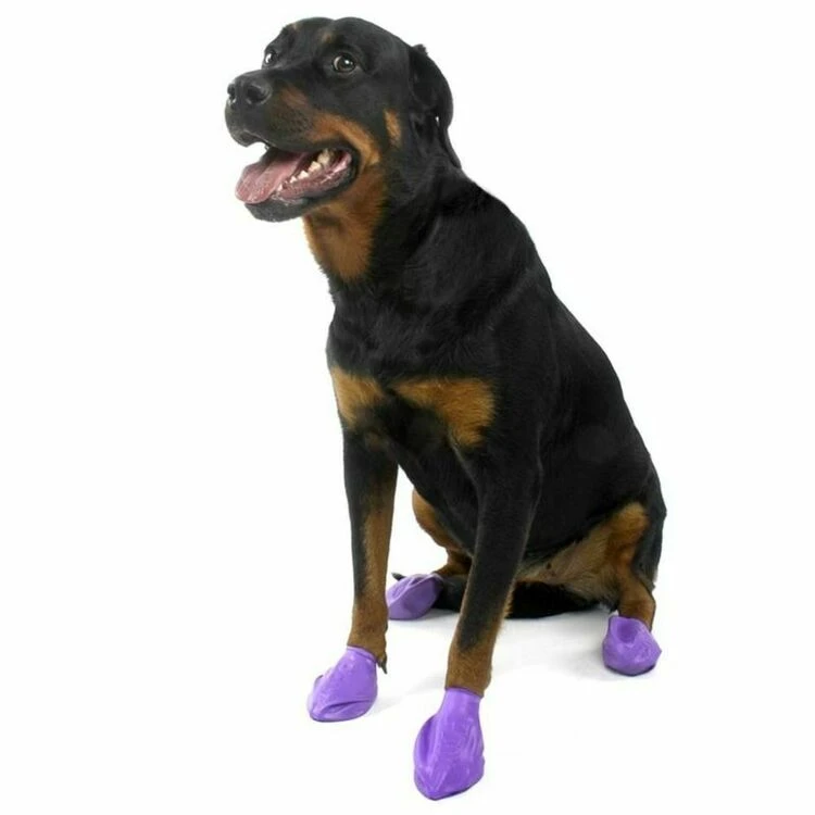 Pawz Dog Boots Purple Large 3 Pawz Dog Boots Purple Large