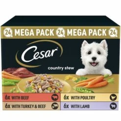 CESAR Country Stew With Chicken & Vegetable In Gravy 24 Pack