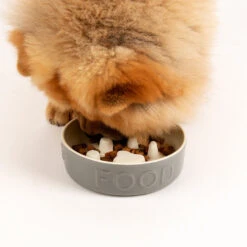 Scruffs® Classic Slow Feeder Pet Bowl Grey -Pawfect Sales Store 825476 4