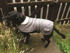 Banbury & Co All Weather Waterproof Comfort Padded Dog Coat In Grey 9 Banbury & Co All Weather Waterproof Comfort Padded Dog Coat In Grey -Pawfect Sales Store 8eee8db8 3785 426d 98ef a5a600e9d276600x450