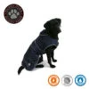 Ancol Stormguard Dog Coat In Navy -Pawfect Sales Store 980157 1