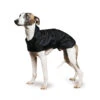 Muddy Paws Greyhound/Whippet Dog Coat In Black -Pawfect Sales Store 9847