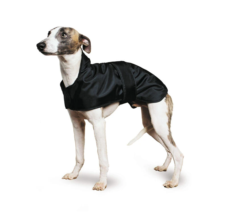 Muddy Paws Greyhound/Whippet Dog Coat In Black 3 Muddy Paws Greyhound/Whippet Dog Coat In Black