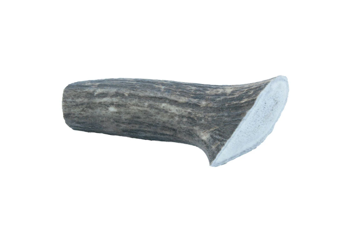 The Wild Antler Co. Full Wild Antler Dog Chew 6 The Wild Antler Co. Full Wild Antler Dog Chew - Image 4